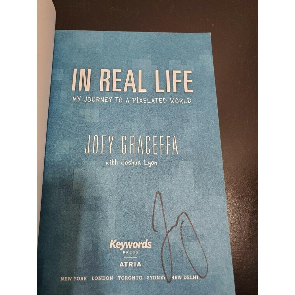 In Real Life - My Journey to a Pixelated World han